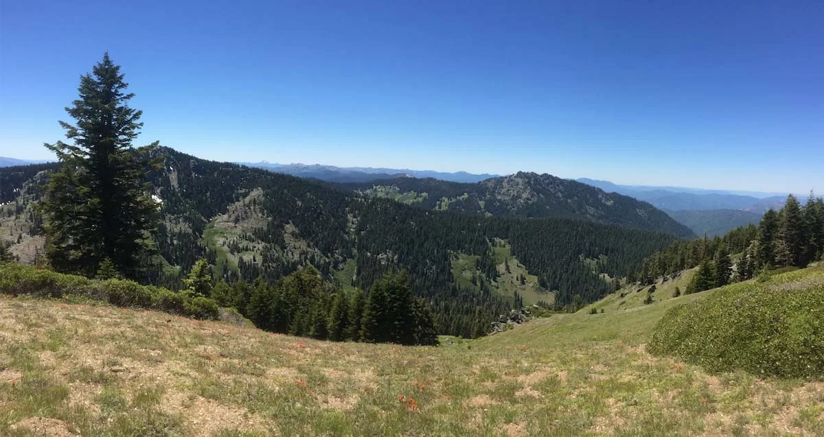 The Siskiyou Crest and the Condrey Mountain Roadless Area