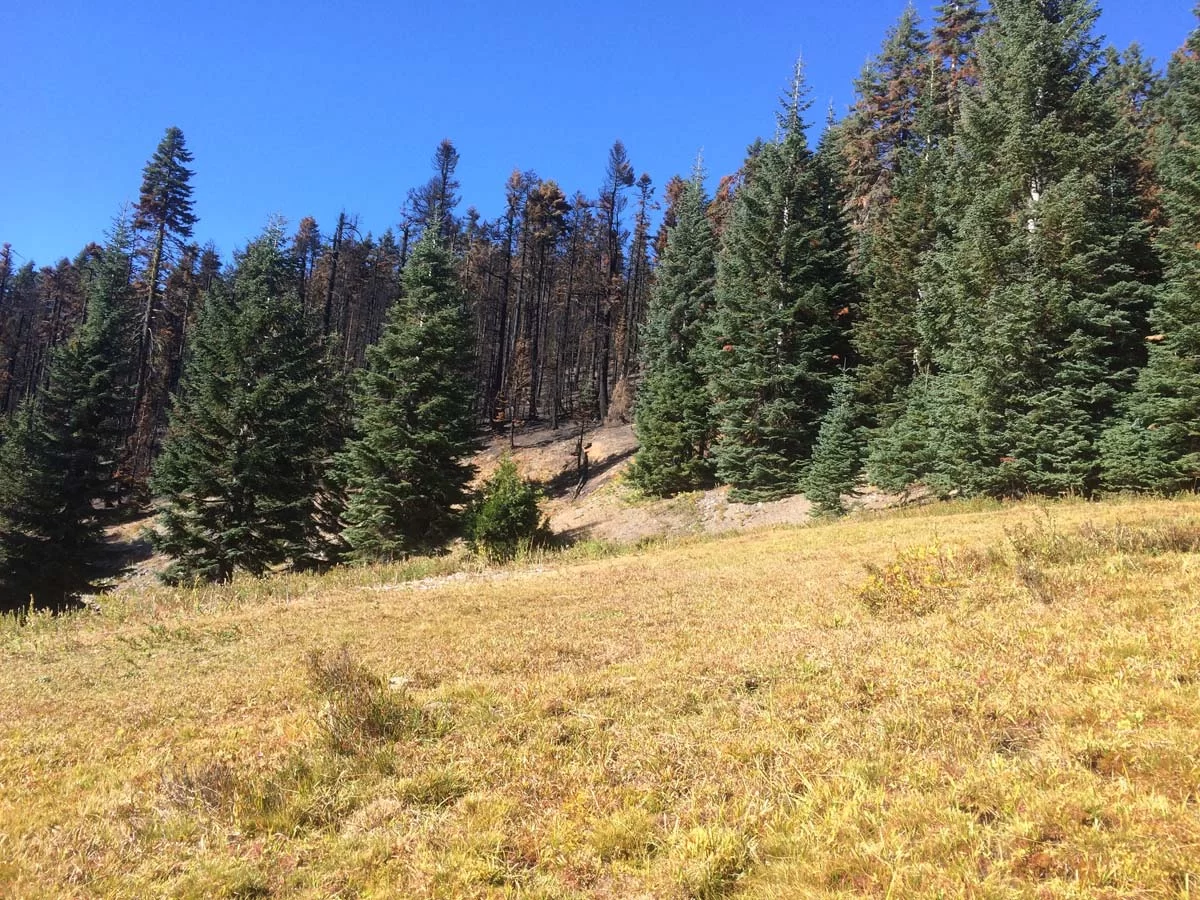 Canceled unit in the Gap Fire Post-Fire Timber Sale