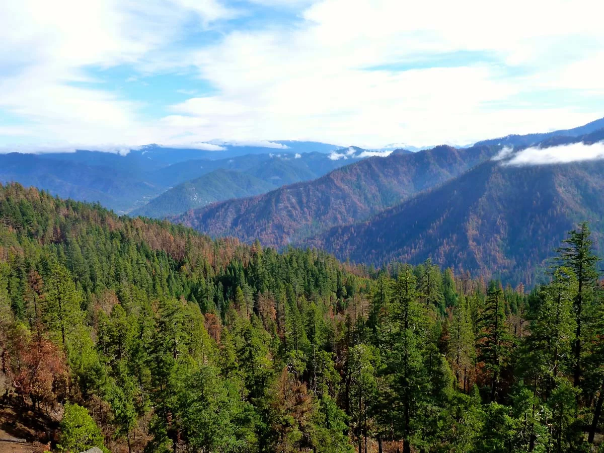 The Grider Creek Roadless Area, an important connectivity corridor between the Marble Mountains Wilderness