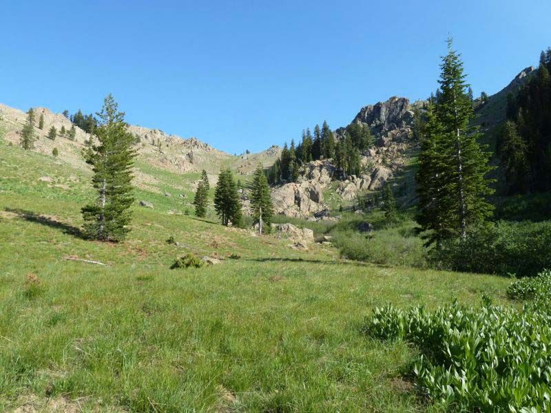 grazing reform in Klamath-Siskiyou region