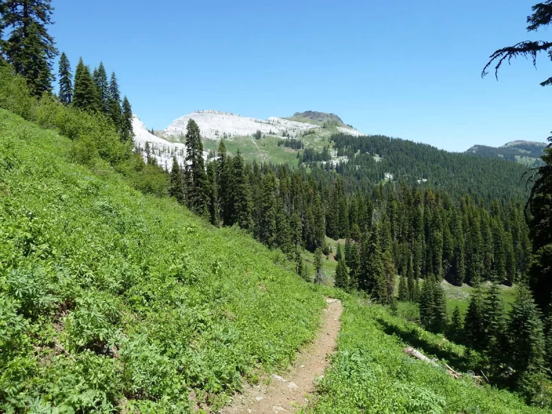 Marble Mountain in Marble Mountains Wilderness